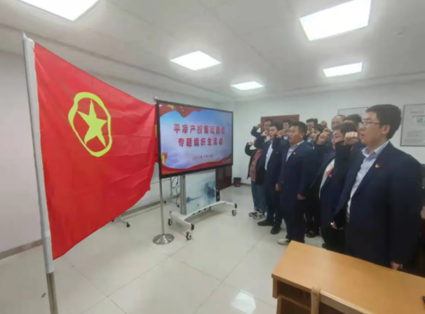 市產(chǎn)投集團團委召開(kāi)2021年度專(zhuān)題組織生活會(huì )(圖5)